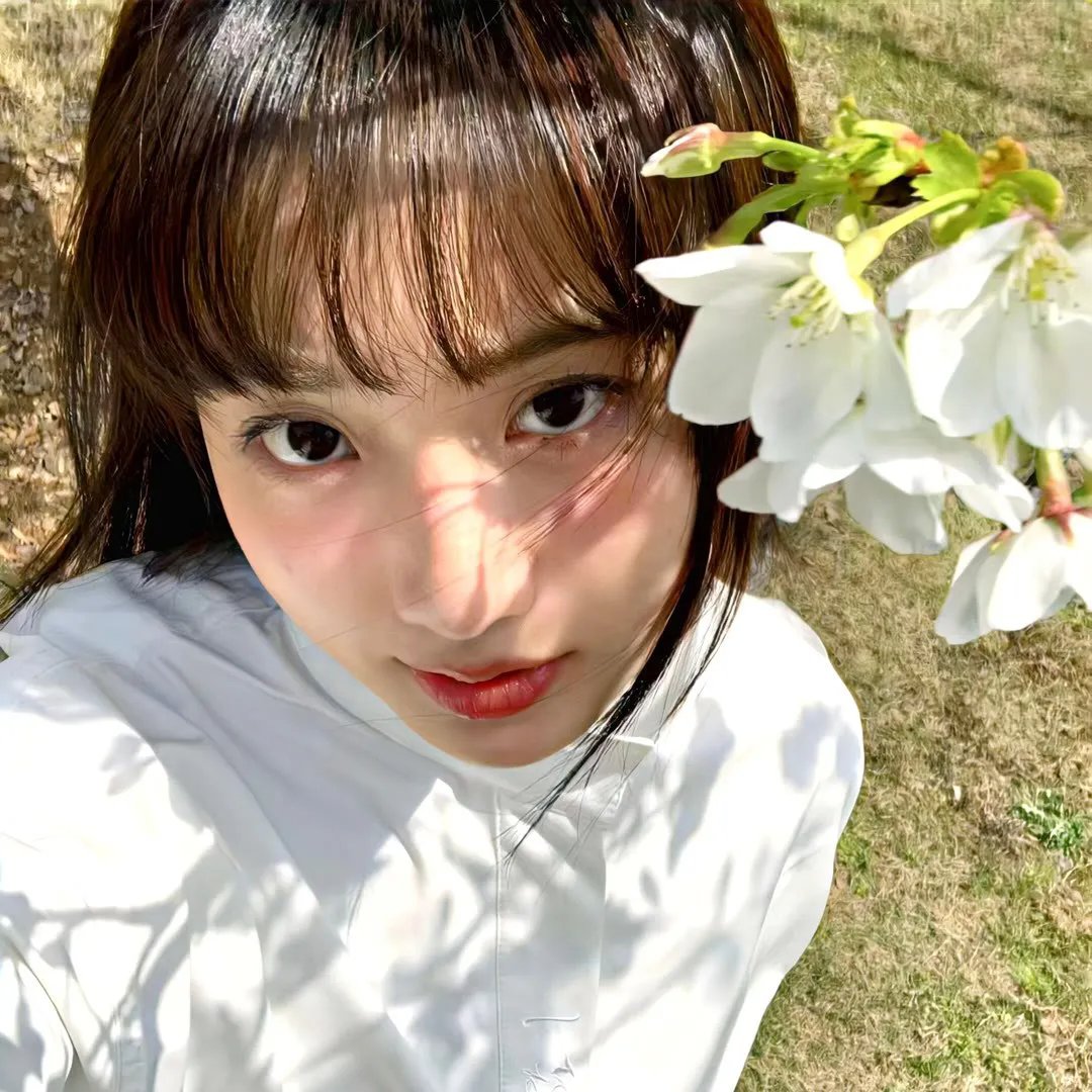 艾德·希兰:成名之路